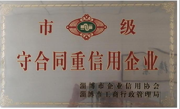 Municipal Enterprise